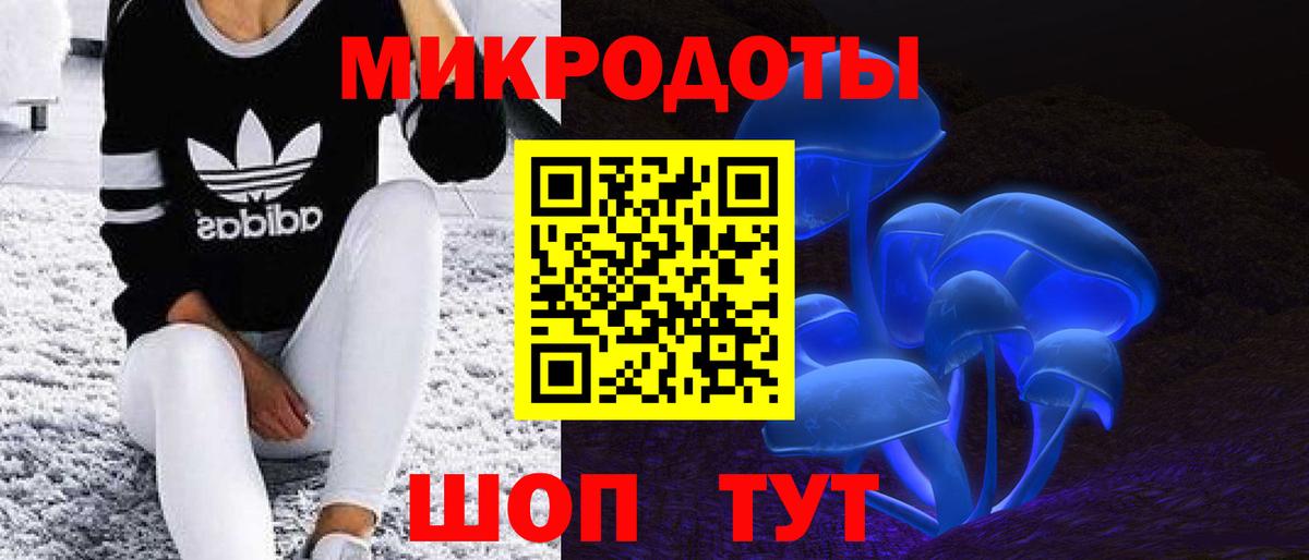 Галлюциногенные грибы мицелий  Вход с VPN  Сальск 